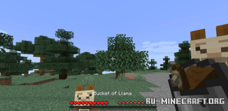  Get In The Bucket  Minecraft 1.21.1