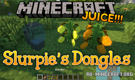  Rays Dongles  Minecraft 1.21.4