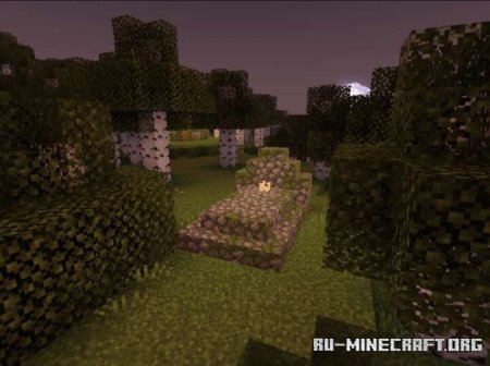         Minecraft PE 1.21