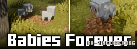  Babies Forever  Minecraft 1.21.9