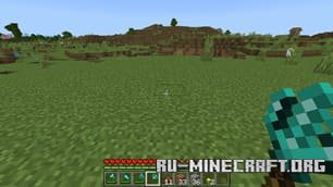     Minecraft PE 1.21