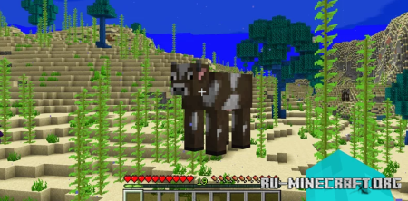  Underwater Minecraft  Minecraft