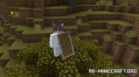     Java  Minecraft PE 1.21