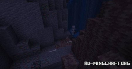      Minecraft PE 1.21