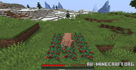  Sneak Through Berries  Minecraft 1.21.5