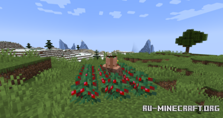  Sneak Through Berries  Minecraft 1.21.5