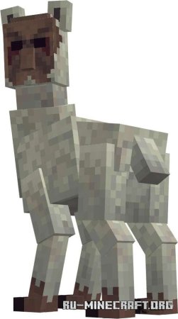        Minecraft PE 1.21