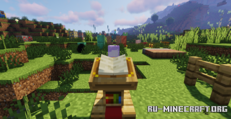  3D Item  Blocks  Minecraft 1.21.10