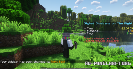 Styled Sidebars  Minecraft 1.21.10