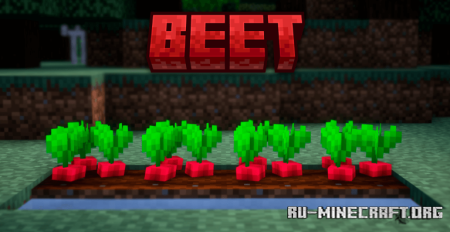  Better Farm  Minecraft 1.21.10
