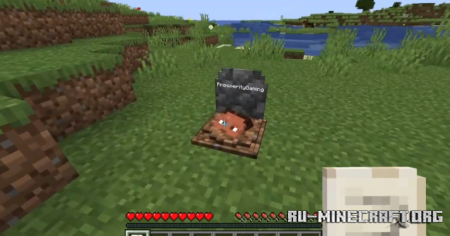  Gravestone  Minecraft 1.21.10