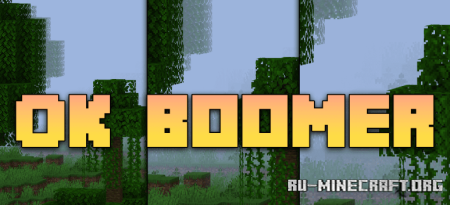  Ok Boomer  Minecraft 1.21.10