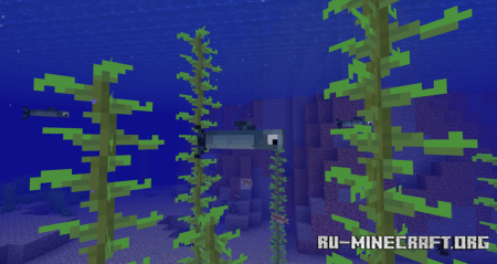  BigFish  Minecraft 1.20.1