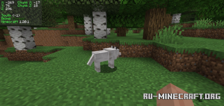 Скачать Coordinates Display для Minecraft 1.21.10 Скачать Coordinates Display для Minecraft 1.21.10