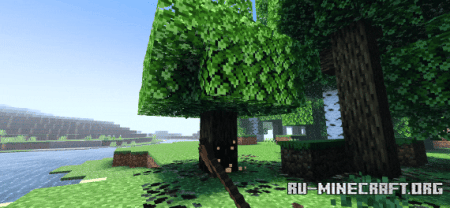       Minecraft PE 1.20