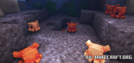  Critters and Companions  Minecraft 1.21.1