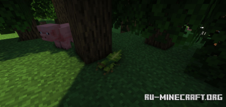  Critters and Companions  Minecraft 1.21.1