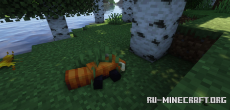  Critters and Companions  Minecraft 1.21.1