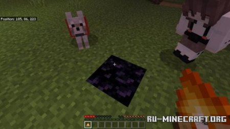      Minecraft PE 1.21