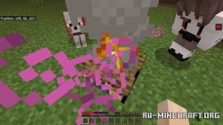      Minecraft PE 1.21