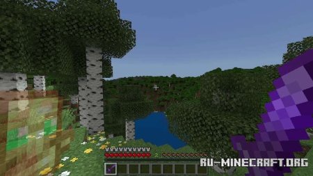      Minecraft PE 1.21