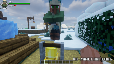 ������� Provi�s Health Bars ��� Minecraft 1.21.10