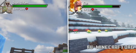 ������� Provi�s Health Bars ��� Minecraft 1.21.10