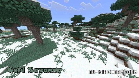      Minecraft PE 1.21