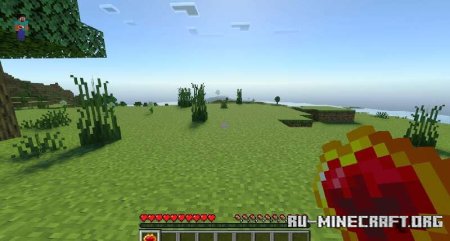     Minecraft PE 1.21