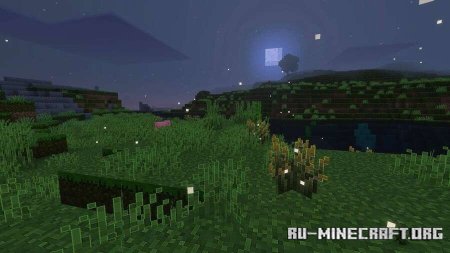  ׸   Minecraft PE 1.21