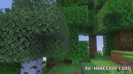  ׸   Minecraft PE 1.21