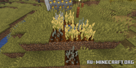  Minebox Gray Crops  Minecraft 1.21.10
