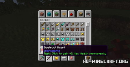  Evil Beetroot  Minecraft 1.20.1