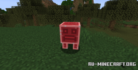 Evil Beetroot  Minecraft 1.20.1