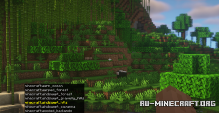  Locator  Minecraft 1.20.1