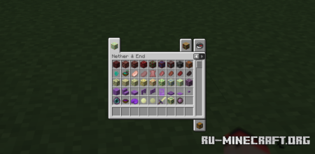  Nether & End  Minecraft 1.21.10