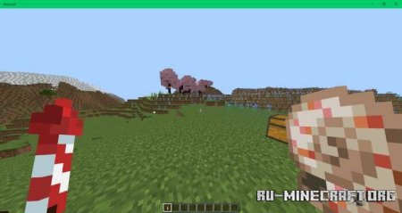     Minecraft PE 1.21