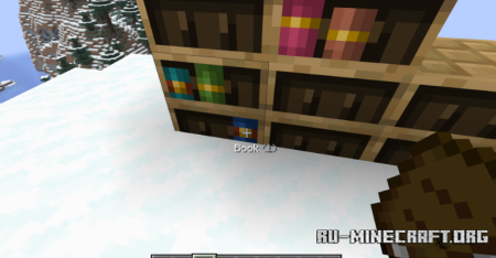  Bookshelf Inspector  Minecraft 1.21.10