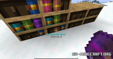  Bookshelf Inspector  Minecraft 1.21.10