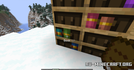  Bookshelf Inspector  Minecraft 1.21.10