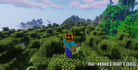  Remove Vignette  Minecraft 1.21.10