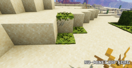  Better Moss  Minecraft 1.21.10