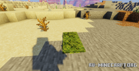  Better Moss  Minecraft 1.21.10