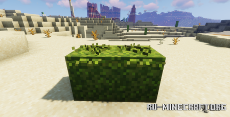  Better Moss  Minecraft 1.21.10