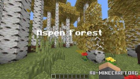     Minecraft PE 1.21