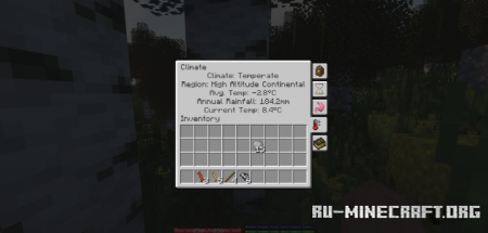  TerraFirmaCraft  Minecraft 1.21.1