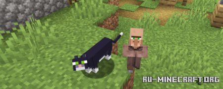  KryptonFoxified  Minecraft 1.21.1