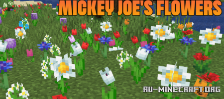  Mickey Joes Flowers  Minecraft 1.21.10