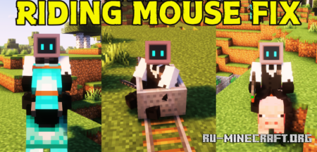  Riding Mouse Fix  Minecraft 1.21.11