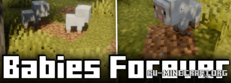  Babies Forever  Minecraft 1.21.11